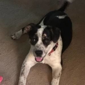 Meet your Posher, Kerry